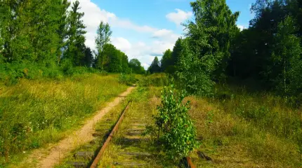 Пора восстановить путь в Усть-Лугу – российский порт, построенный почти в Эстонии