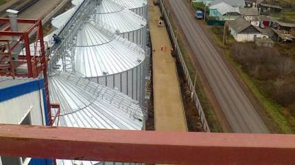 Пшеница как новая нефть: и войны тоже будут