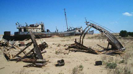 Мирный бунт «Черных шапок»