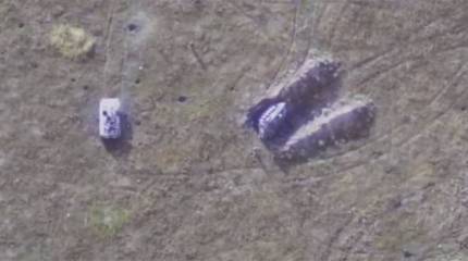 В ходе неудачной попытки атаки под Херсоном БМП ВСУ переехала своего же солдата и упала набок в окоп при отходе