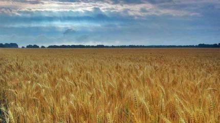 "Санта-Барбара" с продолжением: новое дело в отношении Евгении Васильевой