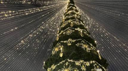 В новый год берём только хорошее, а всё плохое оставляем в году ушедшем