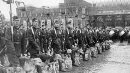 Шарики и Бобики на фронтах войны