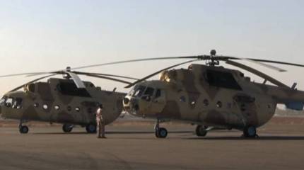 Власти Мали и Буркина-Фасо: Иностранное военное вторжение в Нигер мы расценим как объявление войны нашим странам