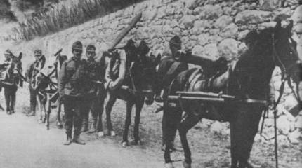 Австро-Венгрия в войне: кампании 1916 и 1917 гг. Ухудшение положения империи