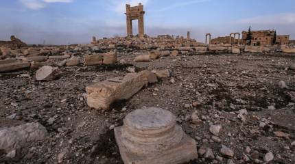 Штурм Ирака. США перебросят террористов для атаки Пальмиры