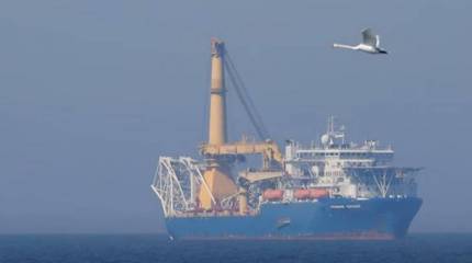 Санкции США и нерест трески: России не дают достроить «Северный поток - 2»