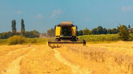 Украинский чиновник: В этом году урожай на Украине будет на 40 процентов меньше, чем в предыдущие годы