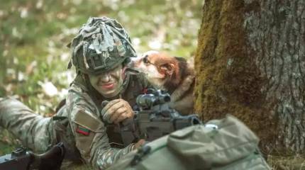 Литва готова направить на Украину свой военный контингент