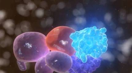 Разработана концепция быстрого восстановления повреждённых тканей организма