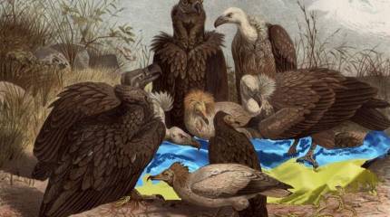 Поляки пошли на Украину за своей собственностью