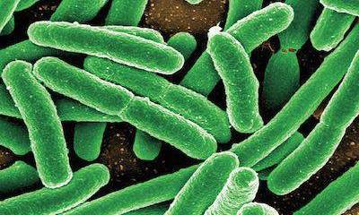 Путин получил прививки от Запада, а остальные русские?