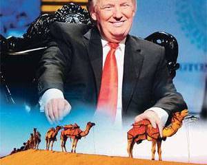 Новые берега Залива