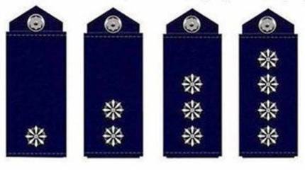 МВД Украины заменит звёзды на погонах полицейских более демократичными ромашками