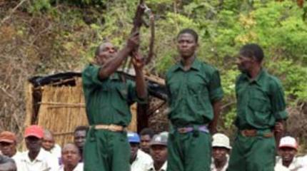 Новая гражданская война как реальность Мозамбика