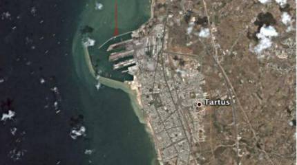 Сирия. Рояли в кустах