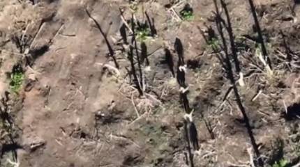 Украинский офицер заявил, что натовская тактика ведения боя не сработала против русских