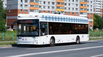 В Чебоксарах после атаки дронов остановлена работа общественного транспорта
