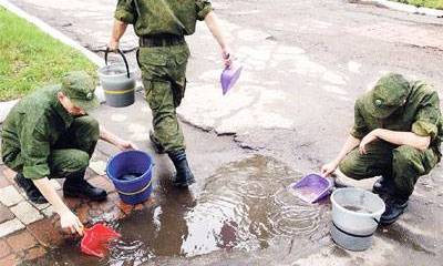 Агрономы поля боя