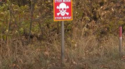 Сапёры британо-американской организации HALO Trust начали разминирование в районе линии разграничения на Донбассе