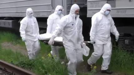 Между Россией и Украиной состоялся обмен телами погибших в зоне боевых действий