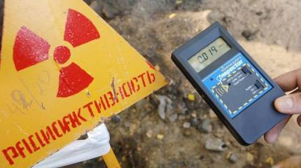 Рутений урожаю не помеха? «Гринпис» пишет прокурору!