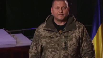 Главком ВСУ Залужный попросил не дарить ему подарки, комментируя «официальную» версию гибели своего помощника