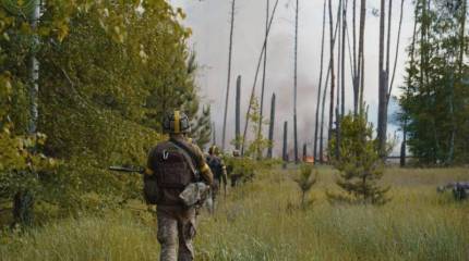 Ребёнок в Мариуполе скончался после того, как его родители были расстреляны одним из украинских пограничников