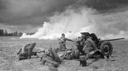 Главной огневой силой Сухопутных войск в годы Великой Отечественной войны являлась артиллерия