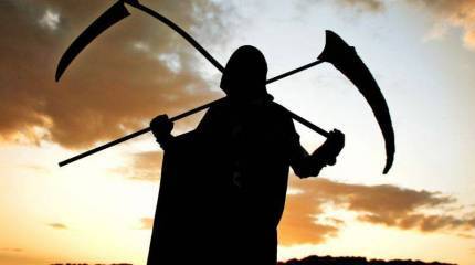 Беги, украинец! Беги!