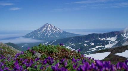 О криках вокруг «слива» Курил