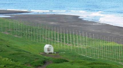 Гендиректор РТИ: Для прикрытия акватории Чёрного моря лучше всего подойдут РЛС «Подсолнух»