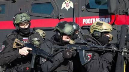 В России обсуждается тендер Росгвардии на закупку ручных гранат РГН