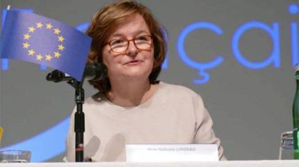 МИД Венгрии - Франции: Мы не ваша колония, чтобы нам указывать