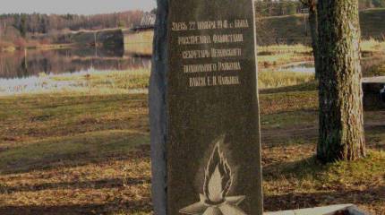 Крик чайки над Волгой