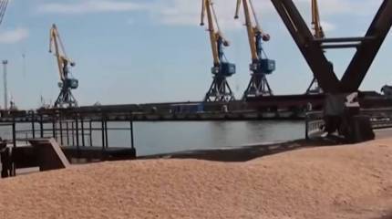 Украинский экс-чиновник: риски страхования судов с зерном можно разделить между страховщиками и нацбанком