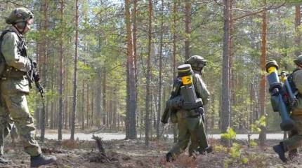 Финские политики против вступления Финляндии в НАТО без Швеции