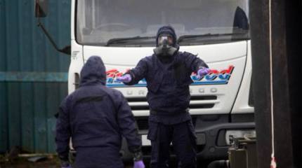 Опубликован доклад ОЗХО по Скрипалям. Всё "лишнее" - в секретной части