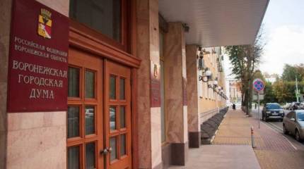 Когда за страну стыдно. Может, все-таки, долбануть по Воронежу?