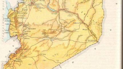 «Мы не теряем надежды». Сирийский кризис глазами нашей соотечественницы