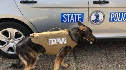 Некоторые подробности массового расстрела в курортном городе США