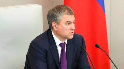 Спикер Госдумы об убийстве Кивы: Террористическая составляющая киевского режима очевидна