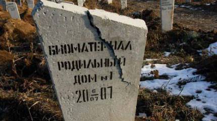 Диагноз в сумках