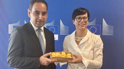 Символическую партию армянских абрикосов довезли до Евросоюза