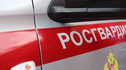 Появились подробности о стрельбе в школе Брянска, устроенной учащейся восьмого класса