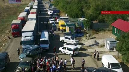 Страна 404. Помогите найти репу, спасти семью друга