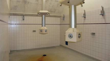 «Солдаты после себя оставляют душевые мокрыми»: командование оригинально объяснило густую плесень в казармах нацгвардии США