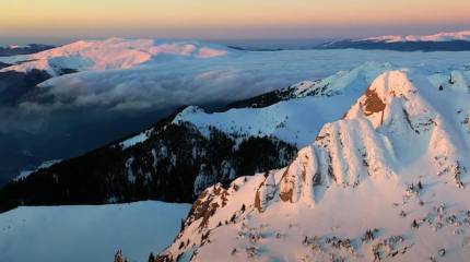 Украинских дезертиров обнаружили в горах на севере Румынии