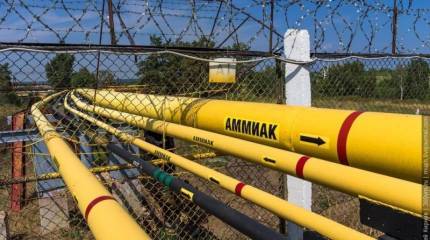 Парадоксы СВО: аммиакопровод Тольятти – Одесса