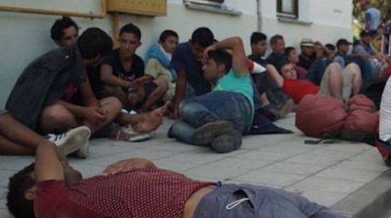 В польском правительстве заявили, что из беженцев необходимо сформировать армию и отправить освобождать Сирию